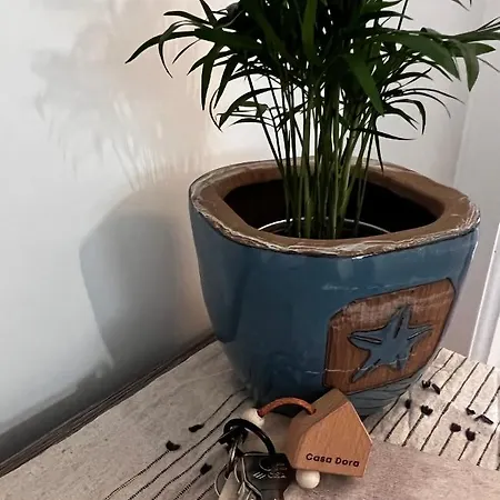 Casa Dora أناكابْري