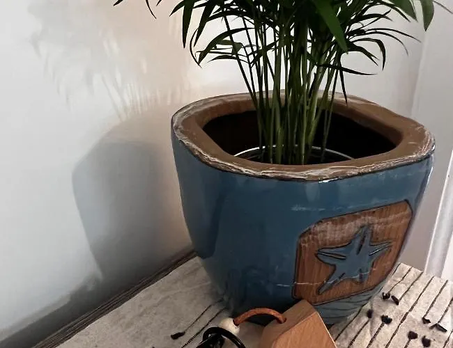 Casa Dora אנה קאפרי