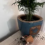 Casa Dora 아나카프리